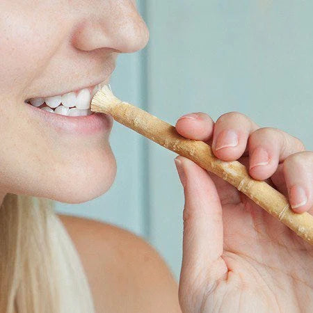 Ancient Miswak Toothbrush 1pc