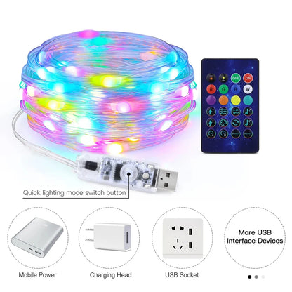 Smart RGB Led Christmas Lights (10 Meter)