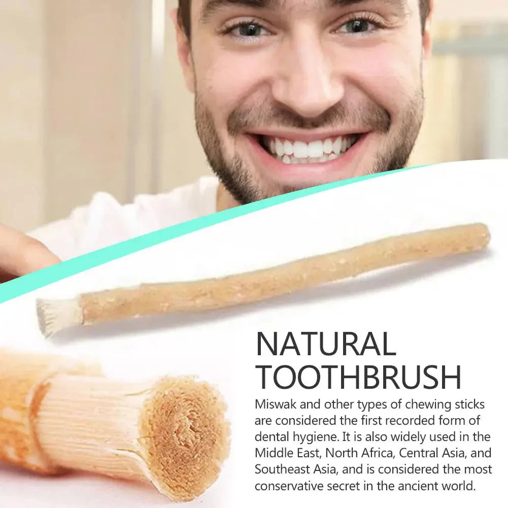 Ancient Miswak Toothbrush 1pc