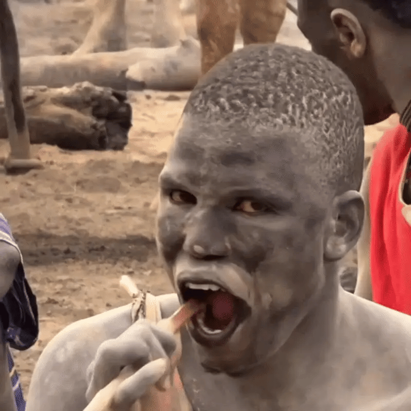 Ancient Miswak Toothbrush 1pc